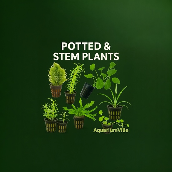 Assorted live aquarium potted and stem plants displayed on a dark green matte background with the text “POTTED & STEM PLANTS” at the top and “AquariumVille” at the bottom, featuring various species in black mesh pots.