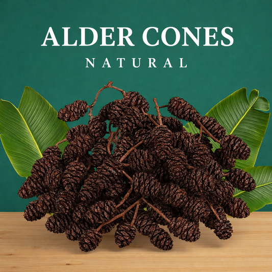 Bunch of alder cones with green leaves on a wooden surface and teal background, labeled 'Alder Cones Natural'.
