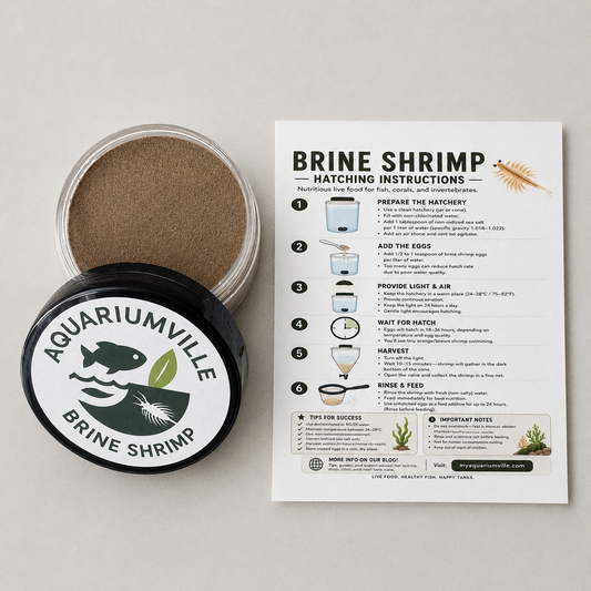 Aquariumville Brine Shrimp eggs product shown with an open clear jar containing brownish-brown powder, a black lid with the Aquariumville logo, and an instruction sheet explaining how to hatch brine shrimp on a light neutral background.