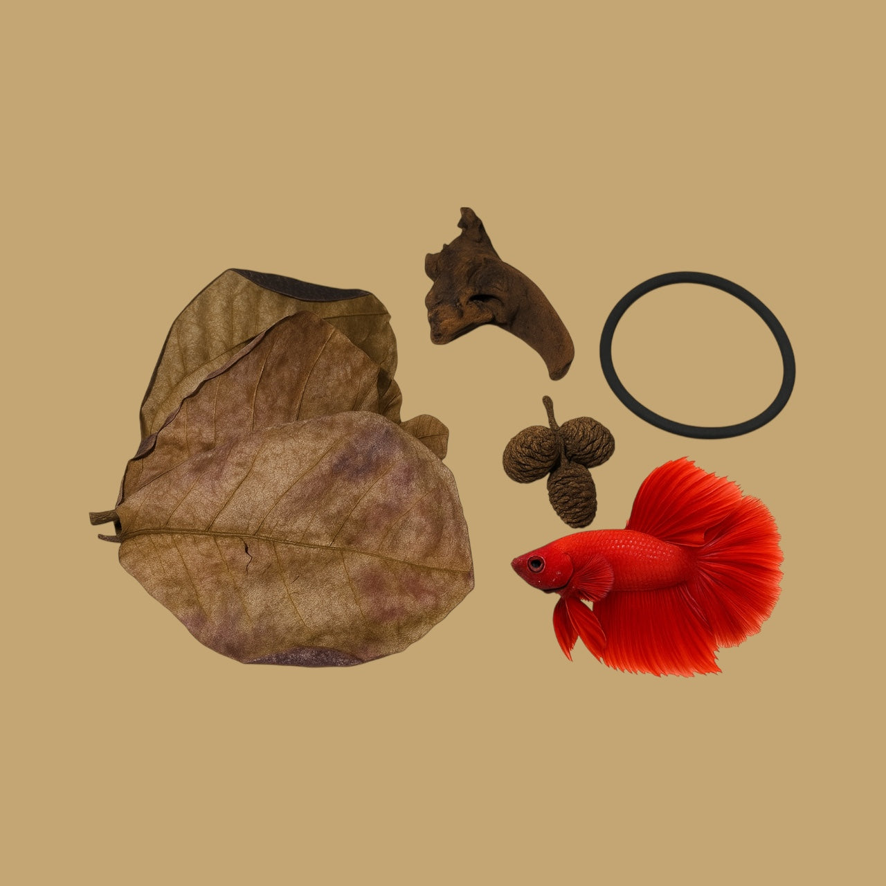 Aquarium Tannin Pack for Betta w/ Driftwood and Free Floating Feeding Ring