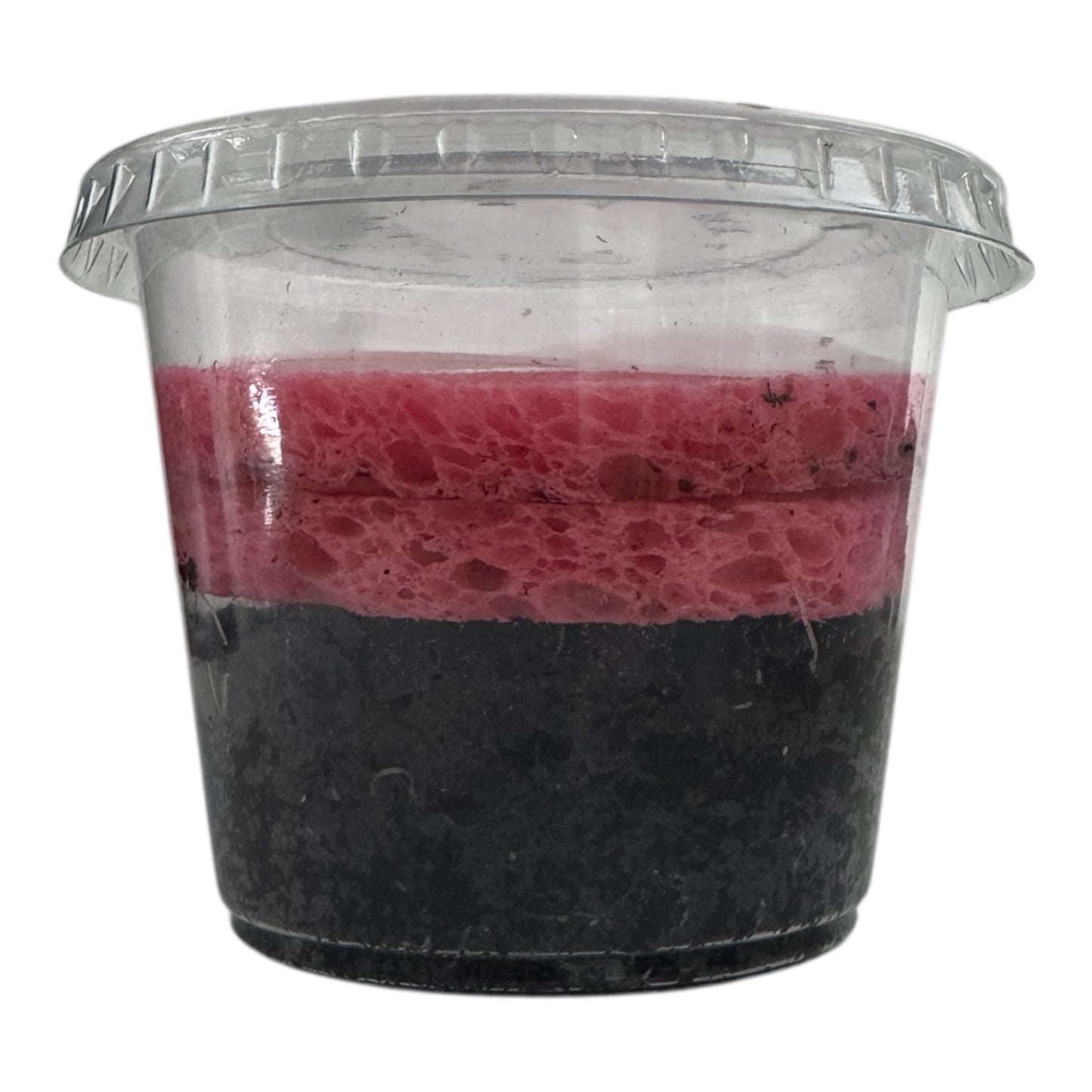 4 Layer Grindal worm starter culture in container