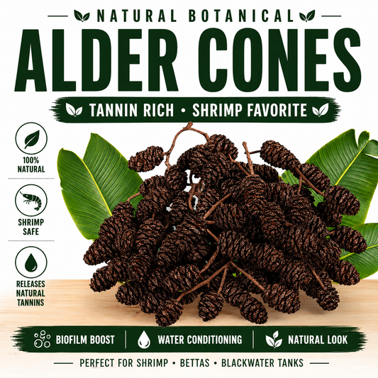 Alder Cones for Aquariums | Blackwater Botanical for Shrimp & Aquatic Tanks