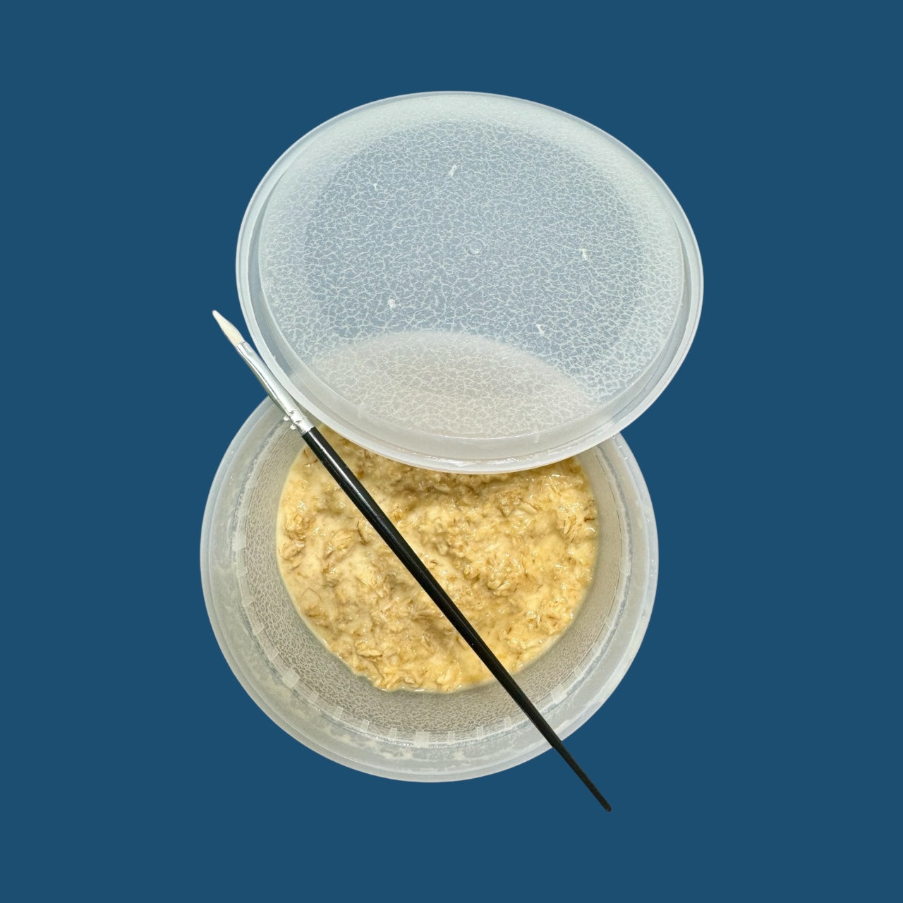 Live Microworm Culture 8oz - Betta Fry & Fish Fry Food