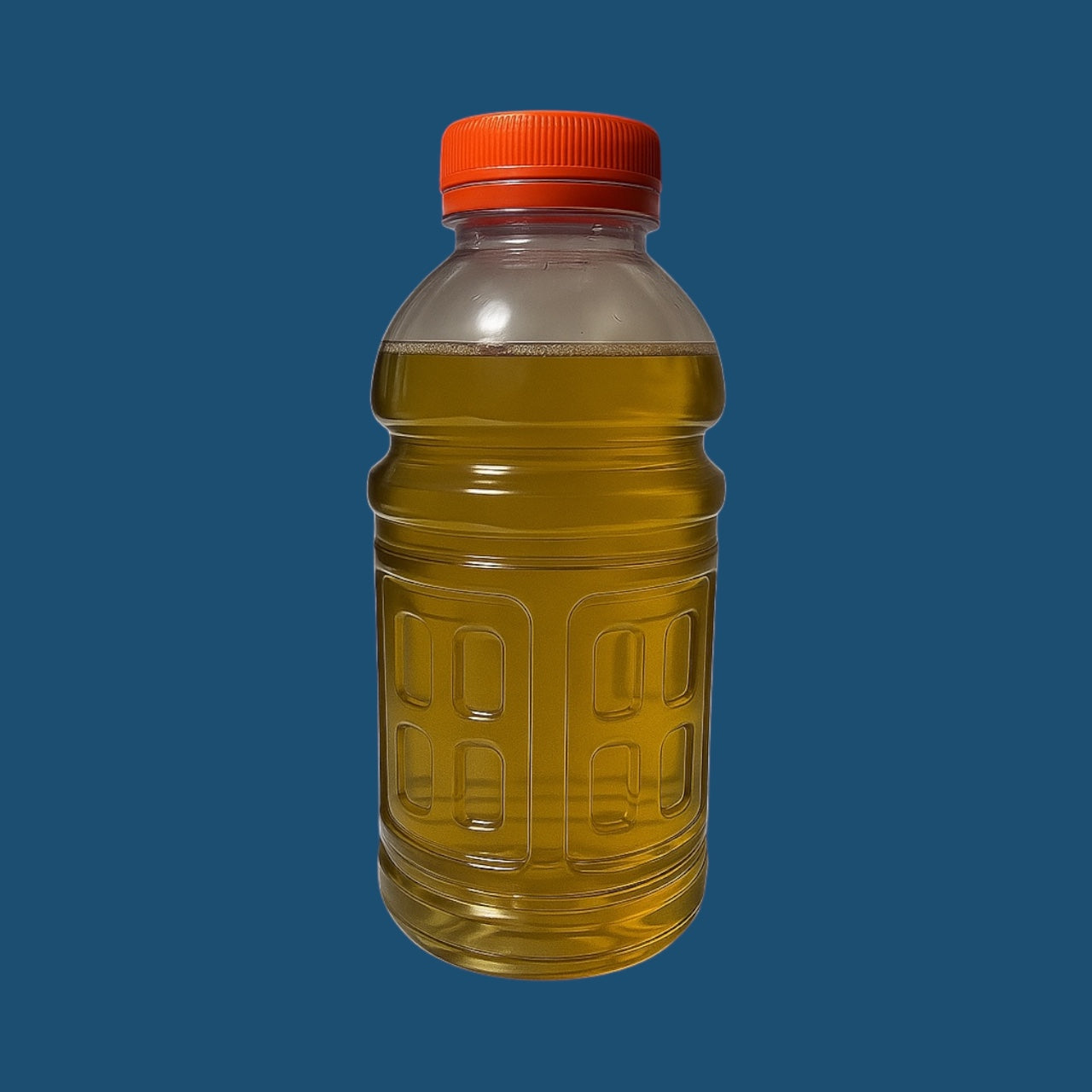 Live Vinegar Eels – 16 oz Culture for Betta Fry, Axolotl & Nano Fish – Fry Starter Food