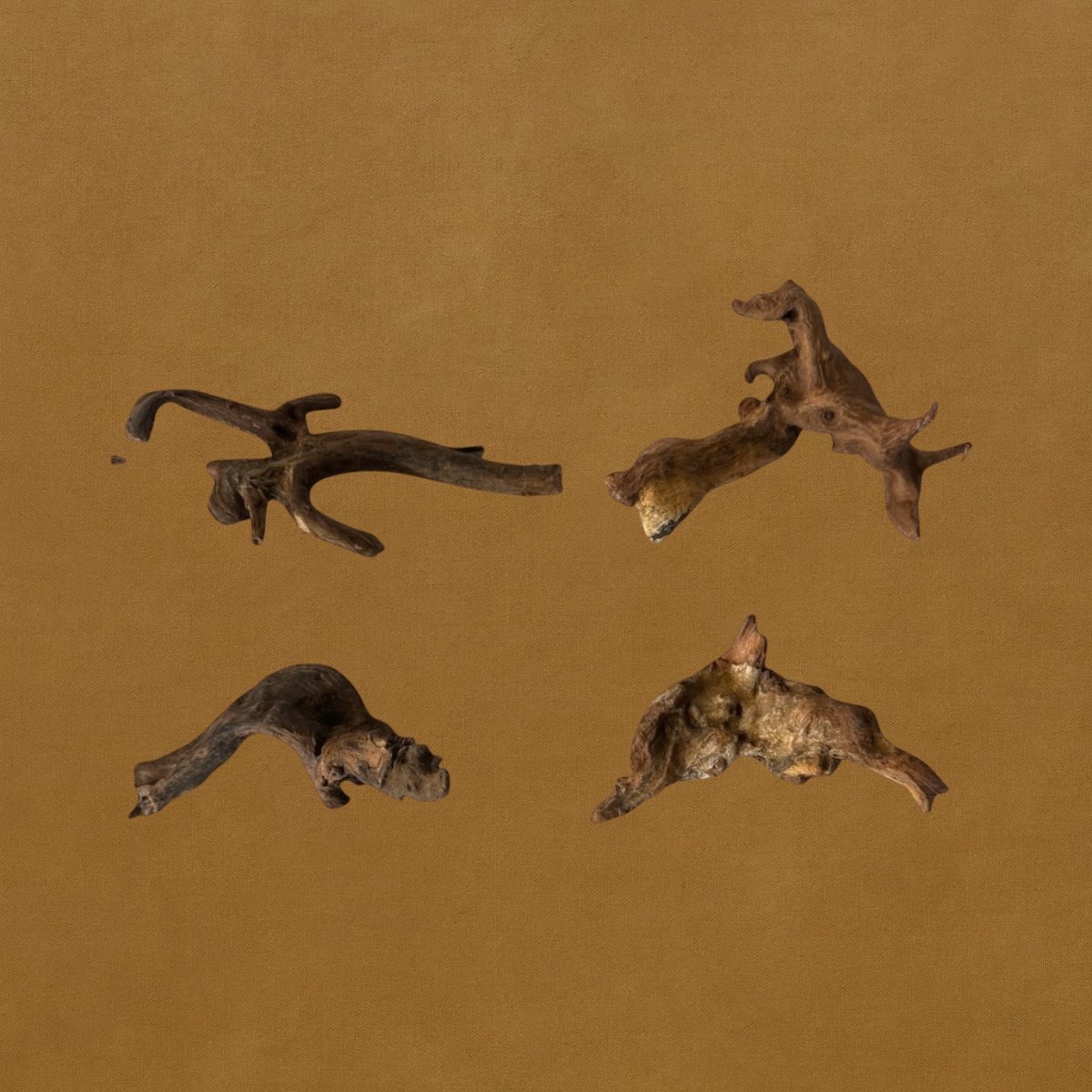 Coral Driftwood – Aquarium Hardscape for Aquascaping & Planted Tanks (1 Piece, 3–5”) | AquariumVille