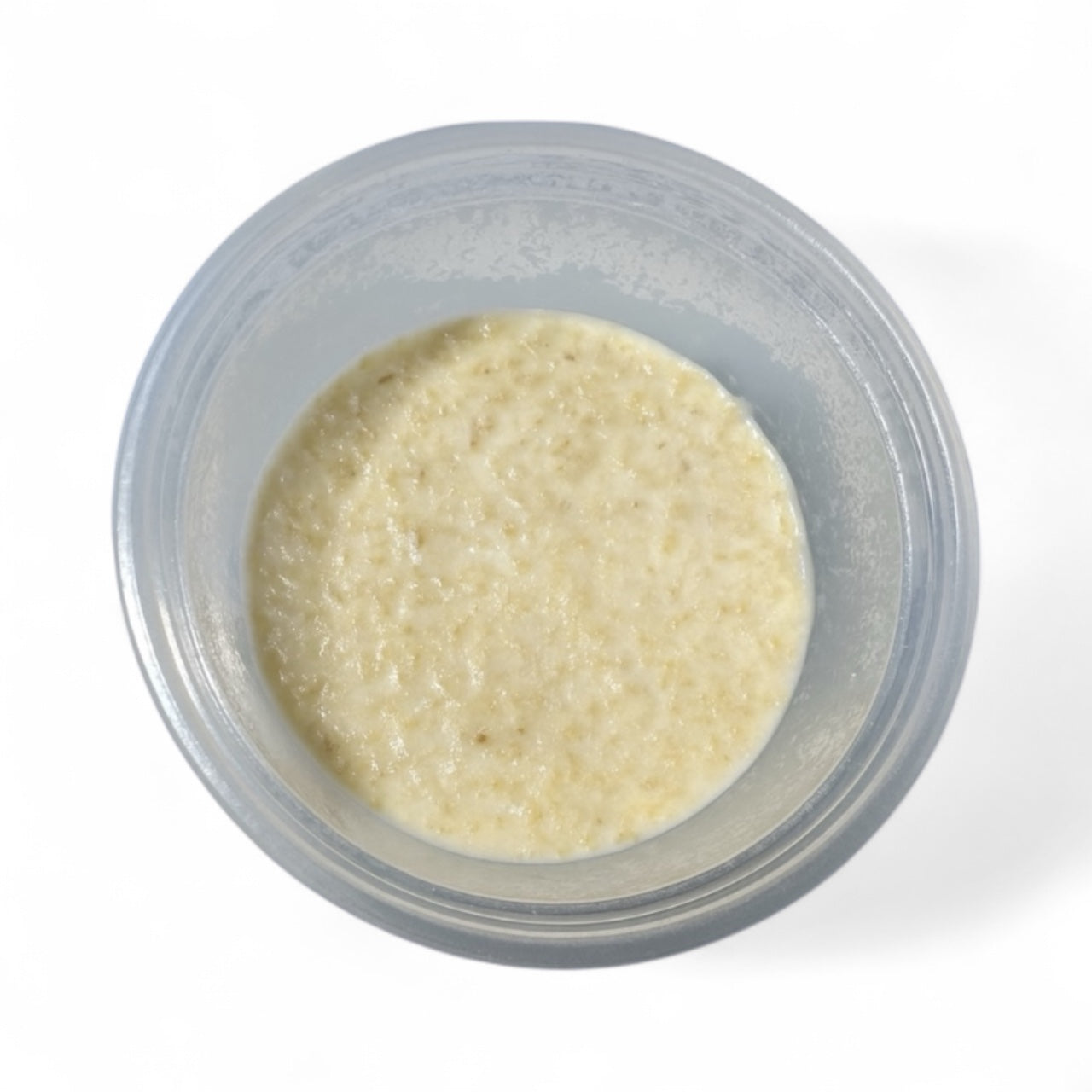 Close-up top view of a microworm starter culture in a small clear plastic cup. The surface of the light beige oatmeal-like medium appears smooth and moist, showing the typical consistency used for culturing microworms.