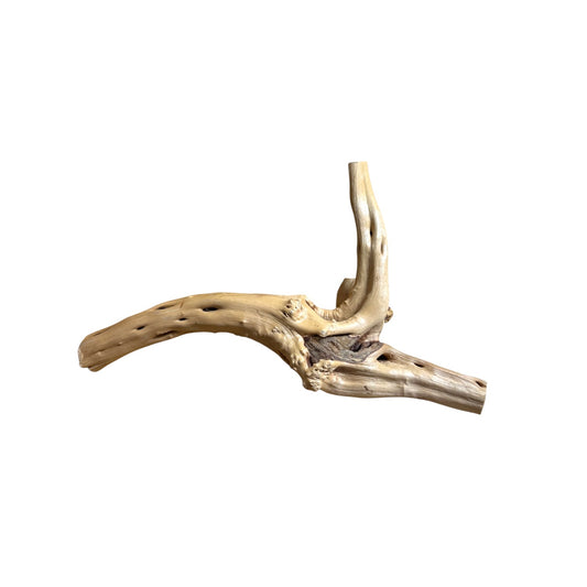 Spiderwood Driftwood 2 Pack