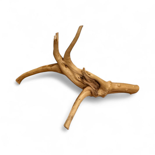 Close-up of natural spiderwood branch for aquariums and terrariums, light brown driftwood with twisted branches, used for aquascaping and tank decor.
