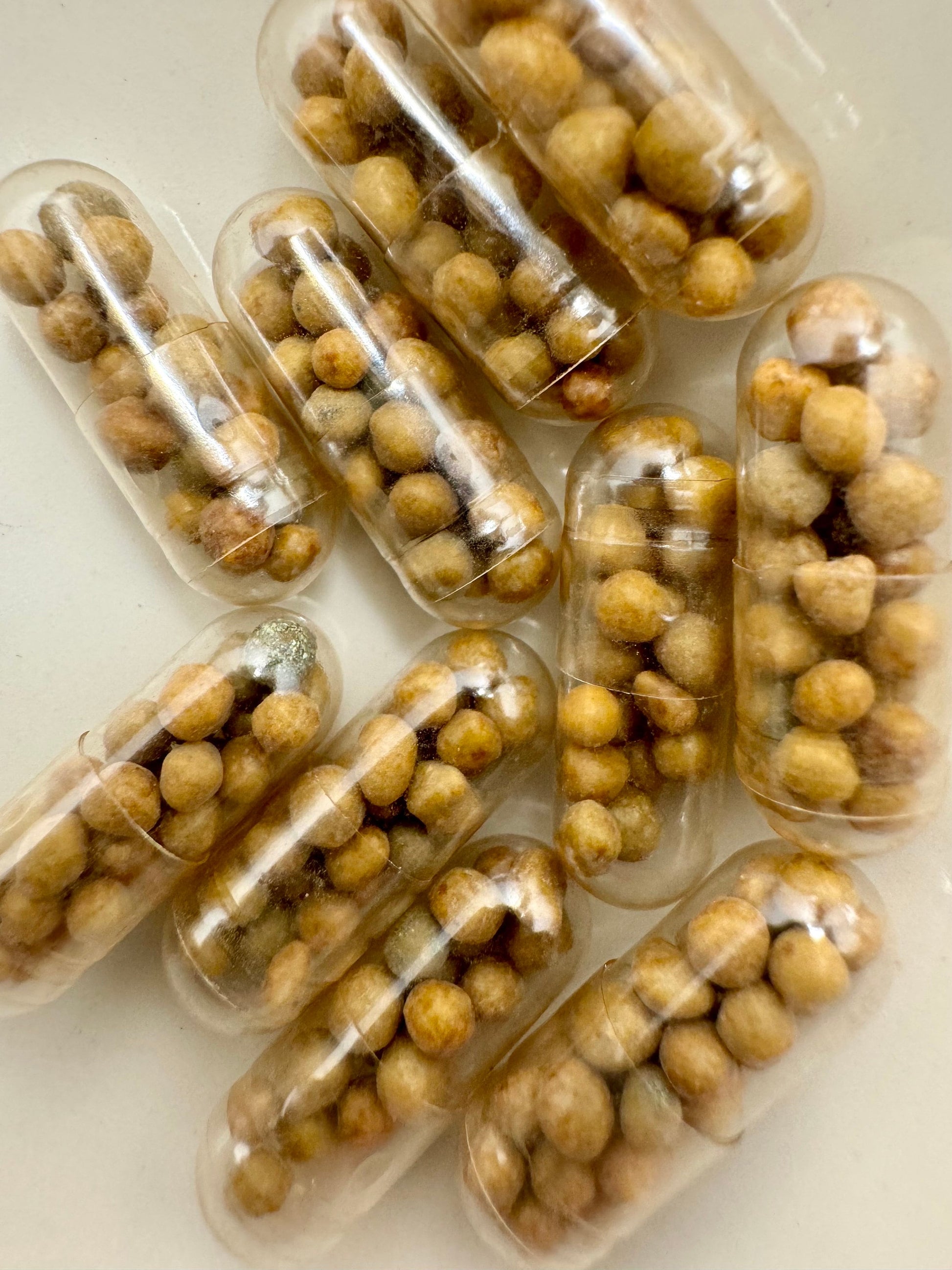 root tabs, live aquarium plant fertilizer