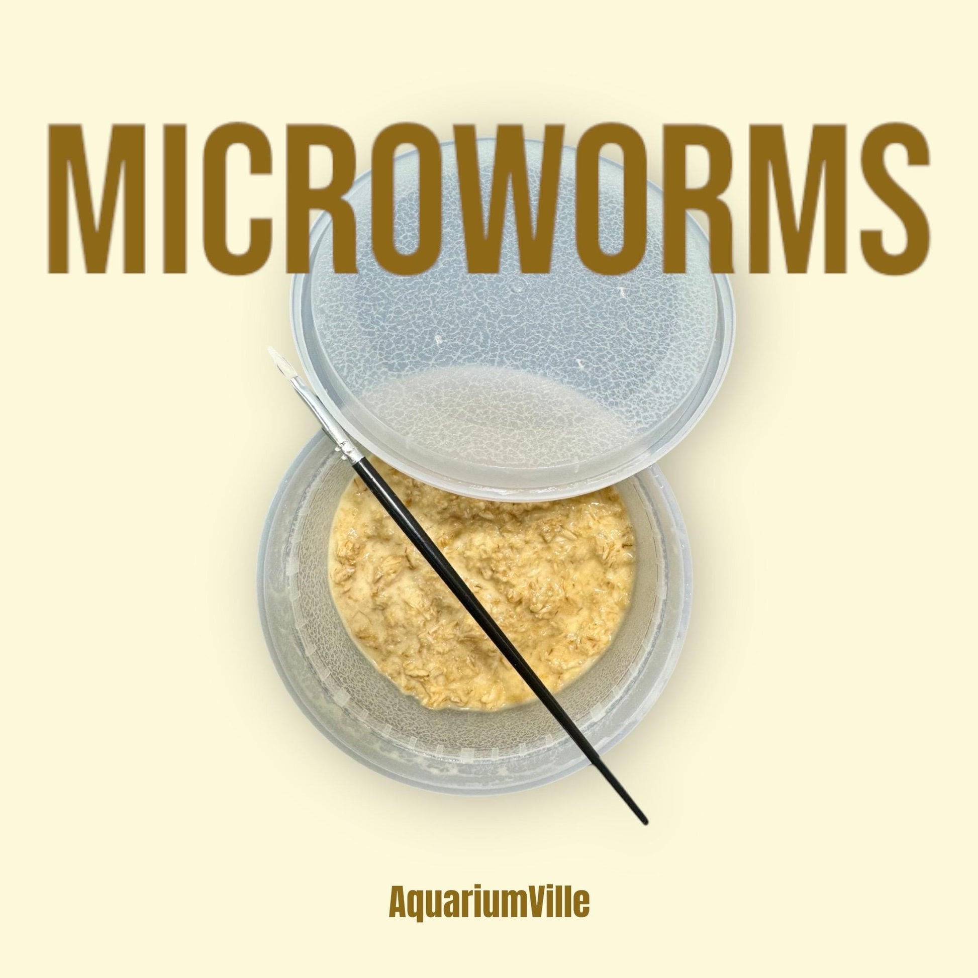 Microworm starter kit with culture medium and brush