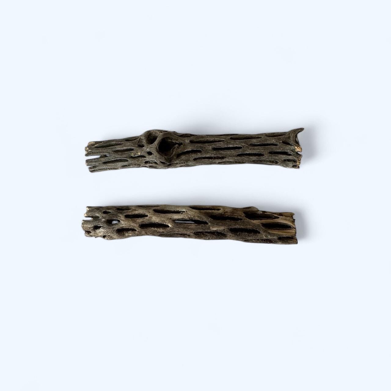 cholla wood side by side