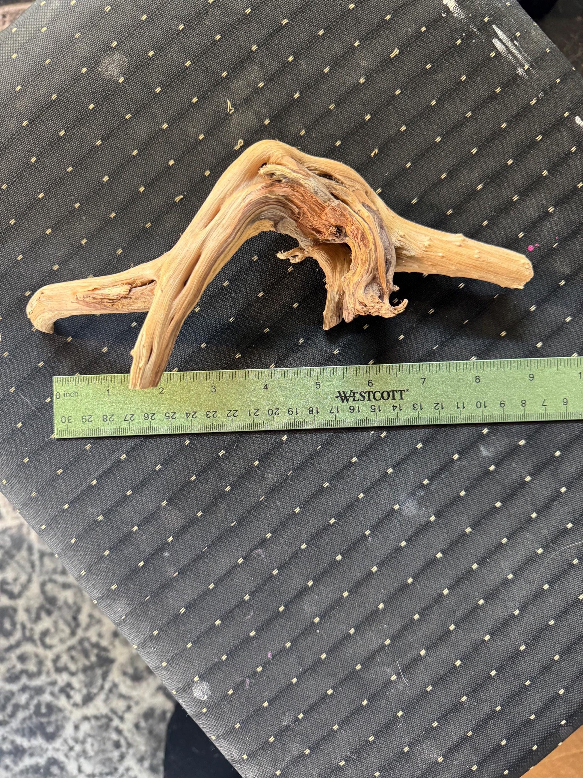 May include: A light brown driftwood branch with a natural curve and a few knots. The branch is about 7 inches long and is measured with a ruler that reads 'WESTCOTT'.