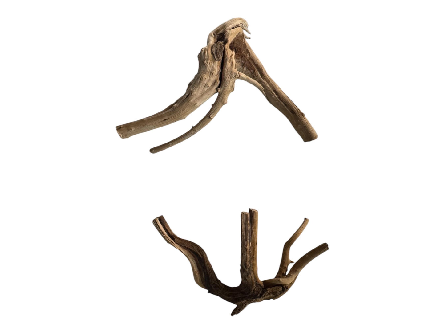 May include: Two pieces of driftwood, one is a Y-shaped piece and the other is a more complex piece with multiple branches. Both pieces are a light brown color and have a rough, natural texture.