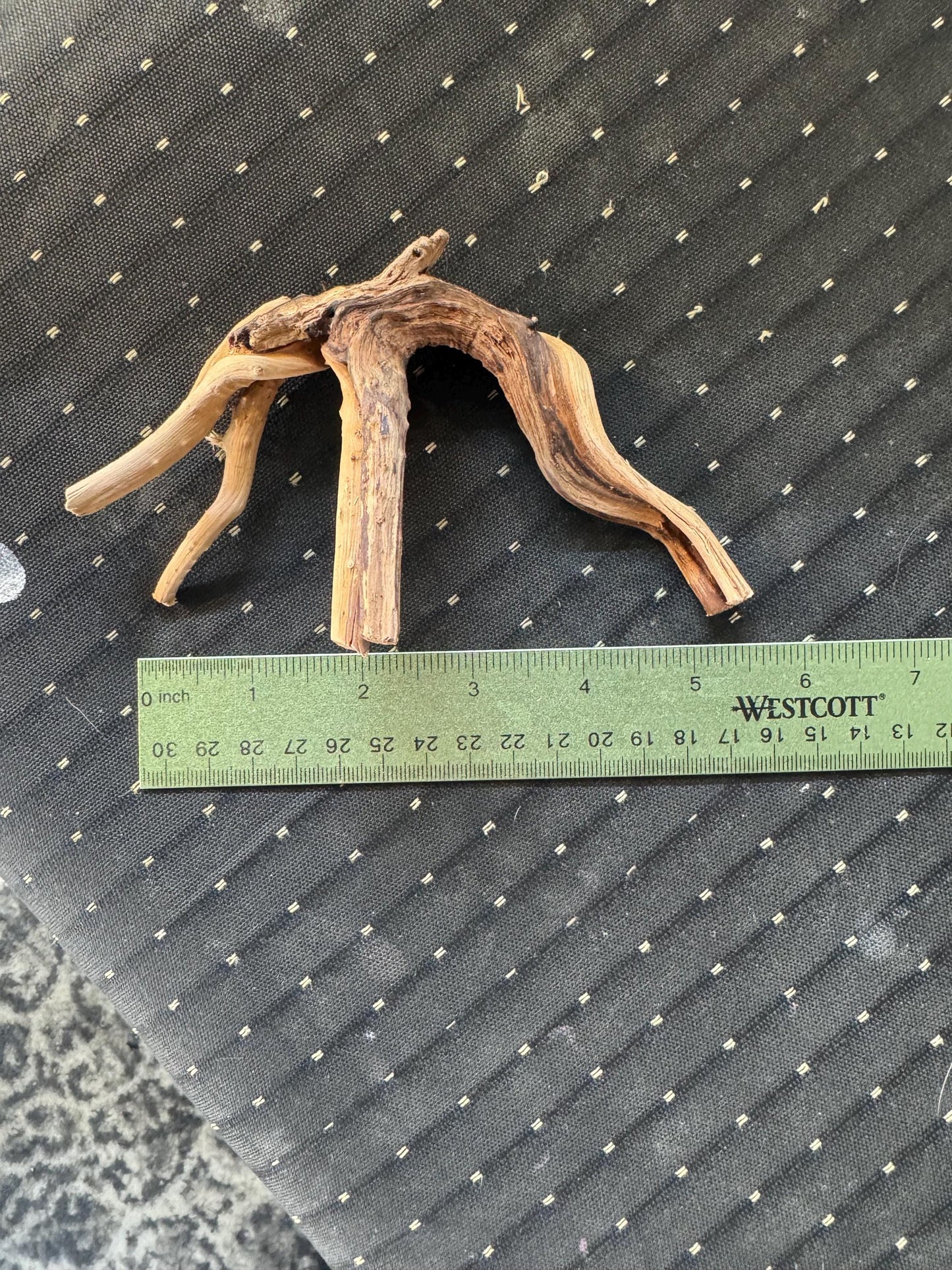 May include: A light brown driftwood branch with a natural curve. The driftwood is approximately 6 inches long and is measured with a ruler.