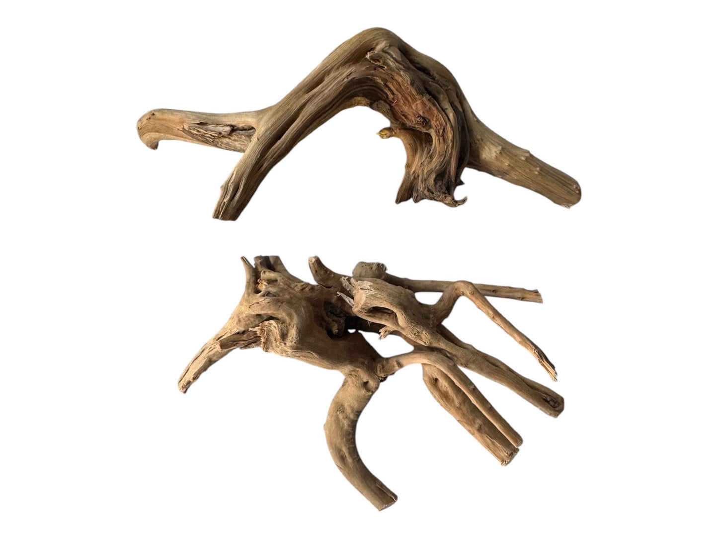 May include: Two pieces of spider wood, one is a curved arch shape and the other is a cluster of branches with a more intricate shape. Both pieces are a light brown color and have a natural, weathered texture.