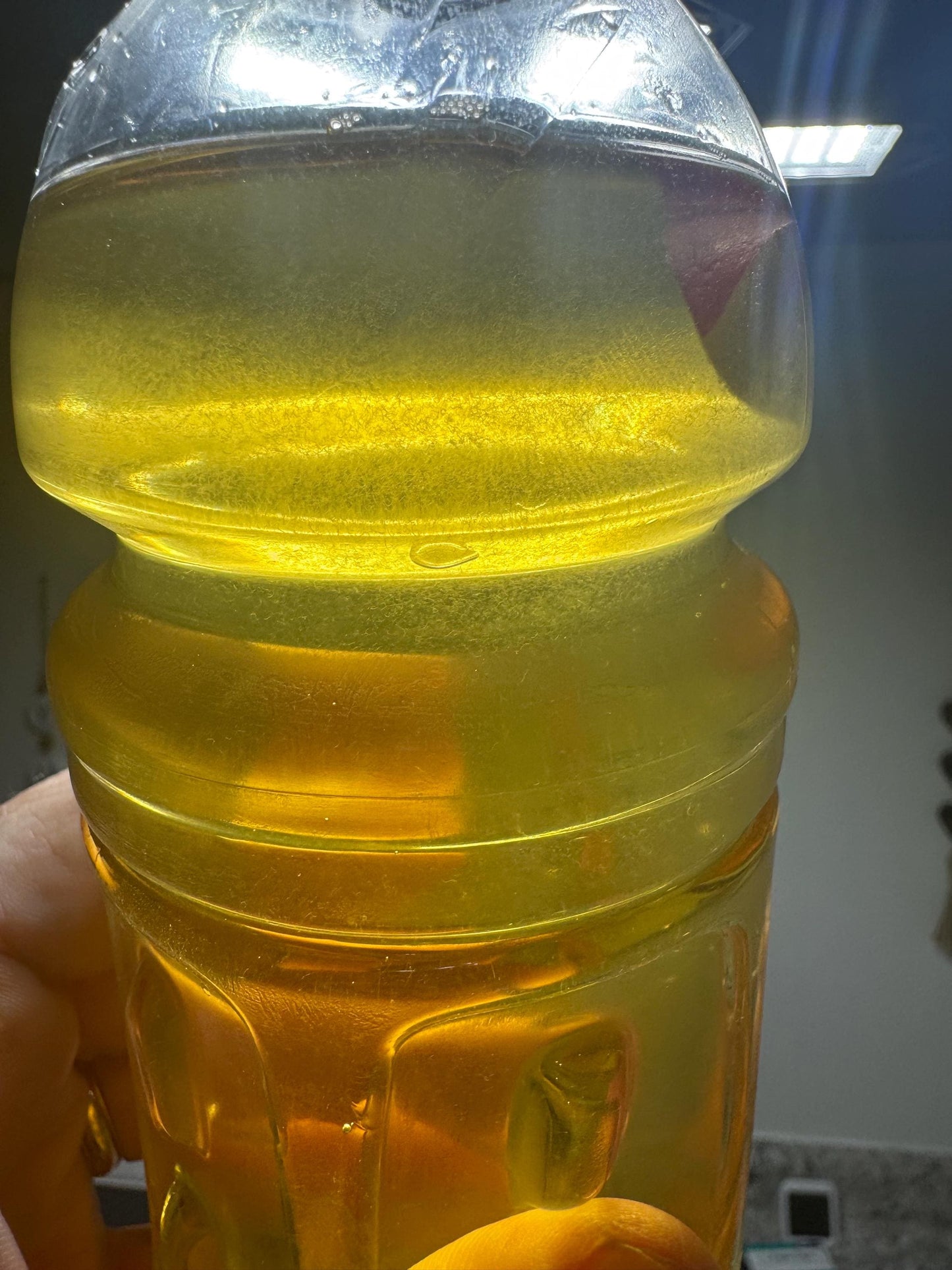A clear plastic bottle filled with a vinegar eels. The liquid is translucent and shows vinegar eels swimming in there.