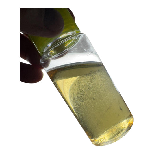 vinegar eel starter culture held up to the light with a white background