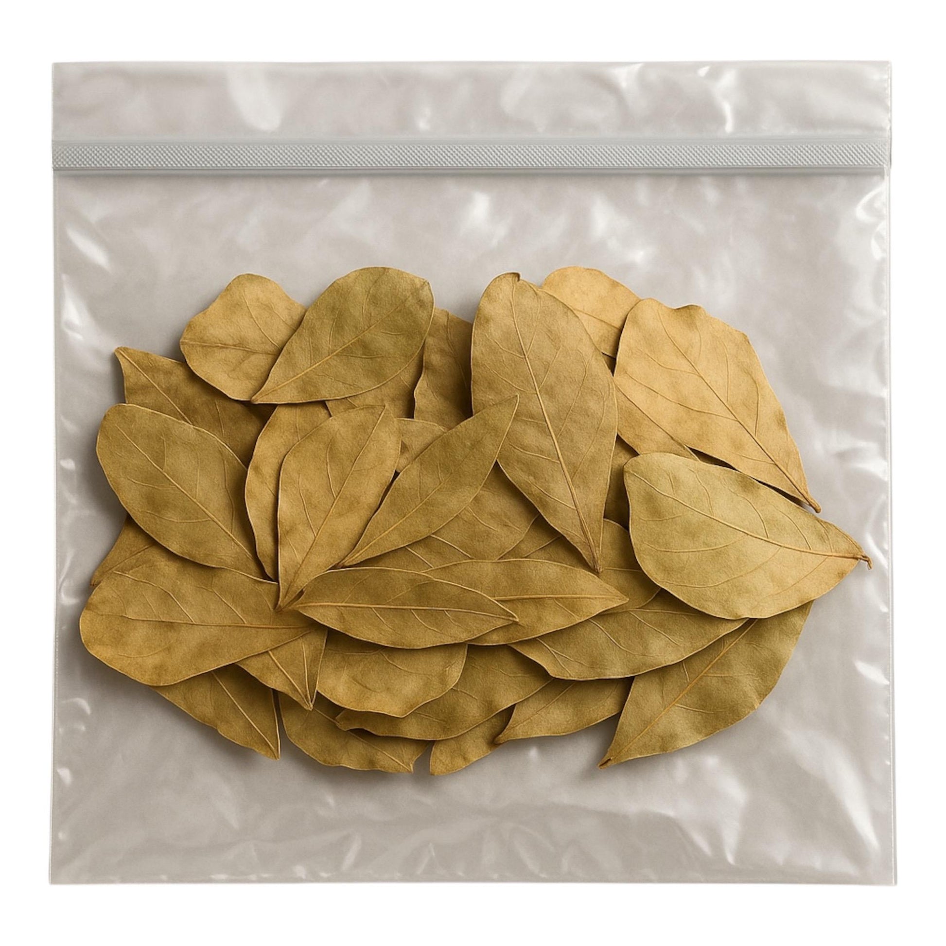 Bag of 30 mini Indian almond leaves, also know as catappa leaves