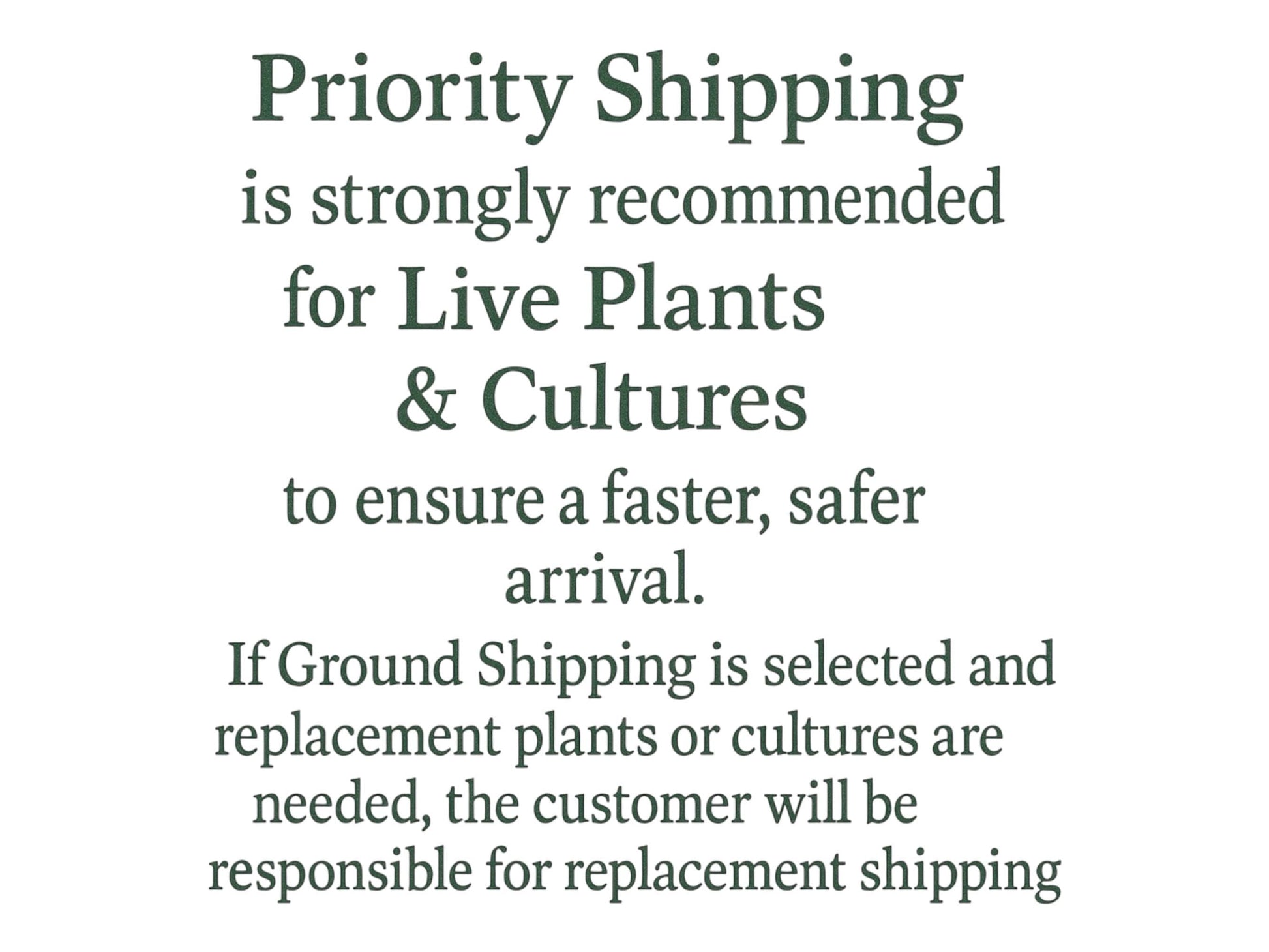 Buy 2 Get 1 Free – 2.5oz Vinegar Eels Starter Culture, Fry Food, Betta Fry Food, Axolotl Baby Food