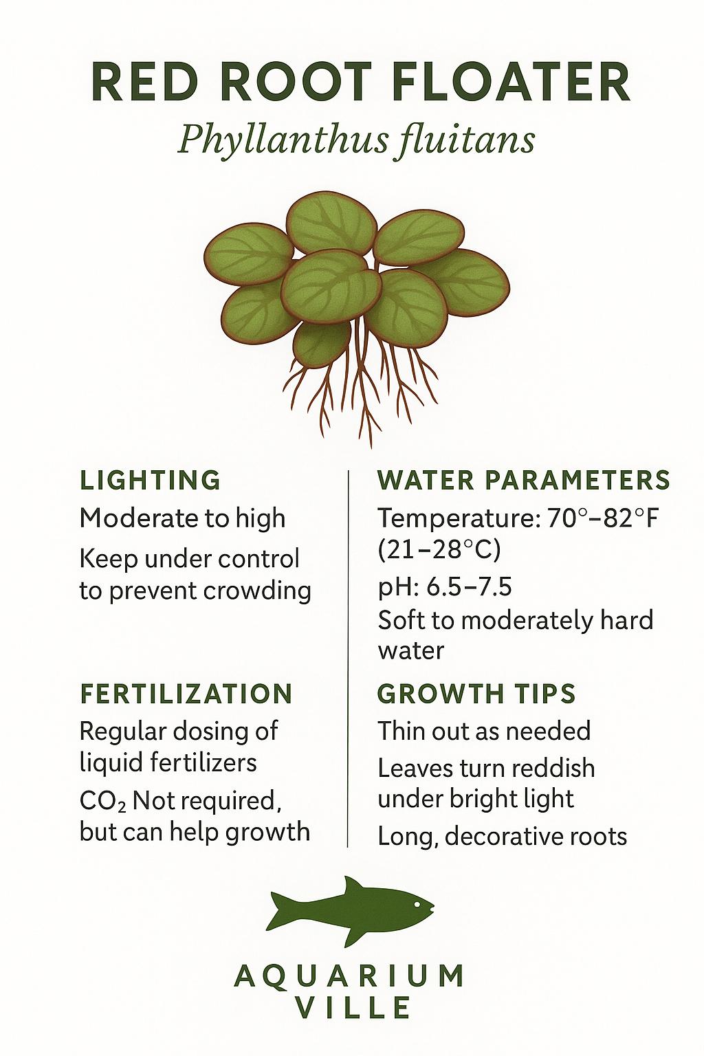 Aquarium Plant Starter Bundle – 4 Floating Plants - Red Root, Frogbit, Salvinia & Water Lettuce – Great for Shrimp Tanks