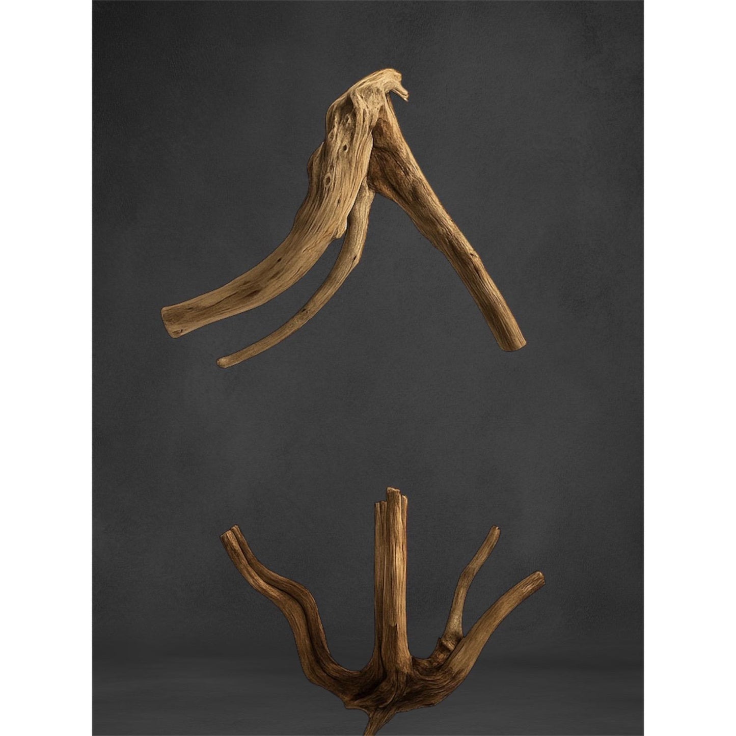 2 pieces of spider wood driftwood 5-6 inches long