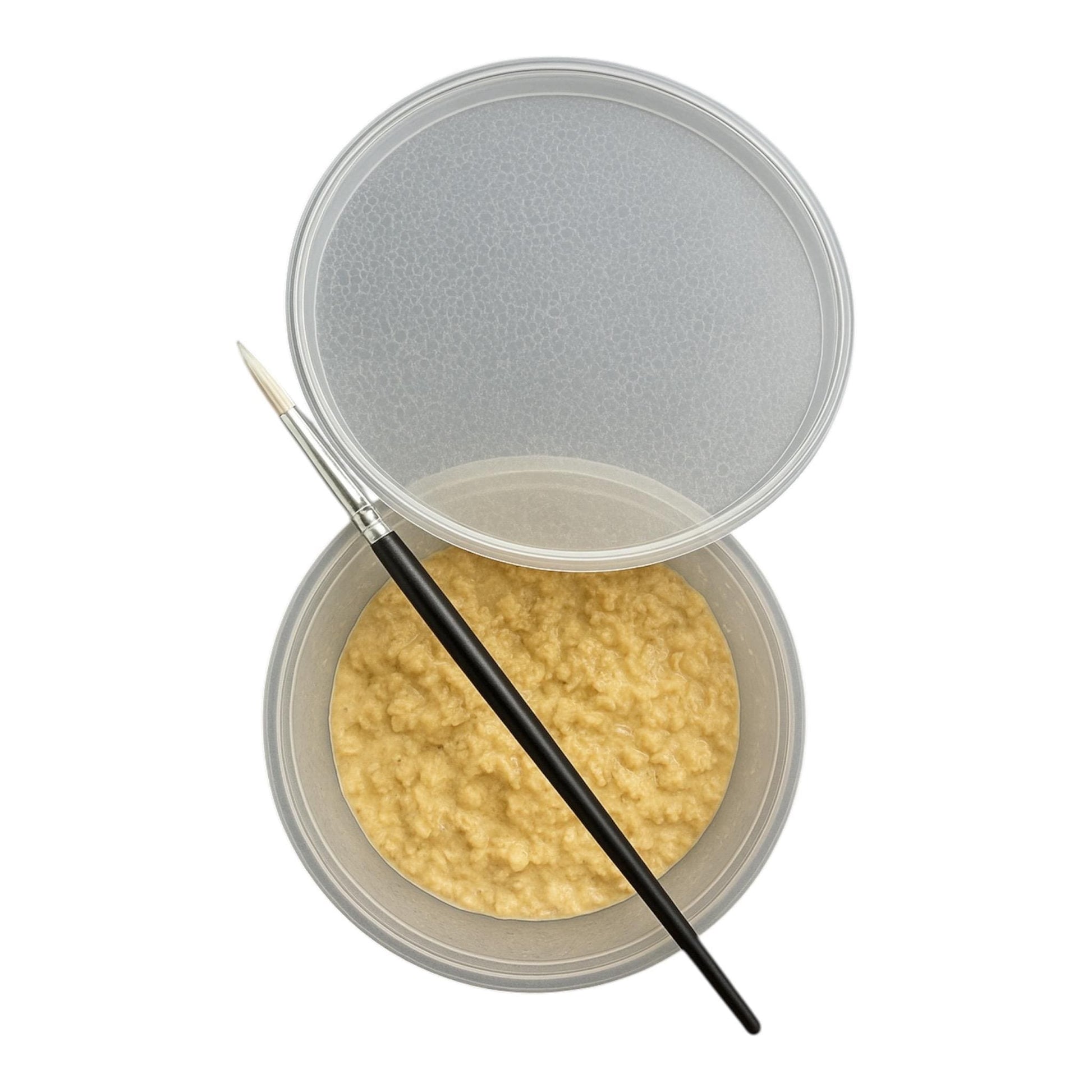 Microworm culture with harvesting brush on white background