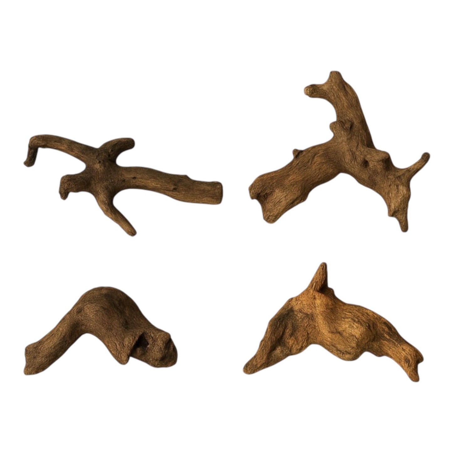 4 pieces of coral driftwood for sale