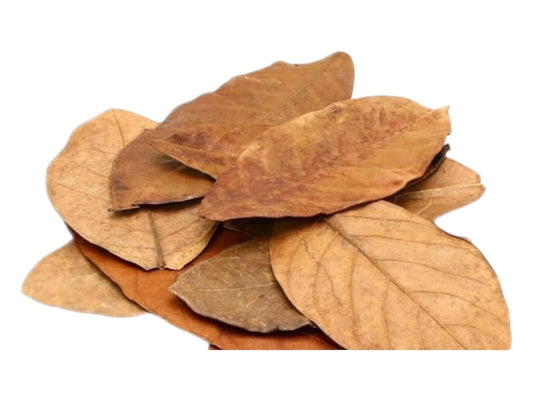 Dried Jackfruit Leaves for Aquariums – Natural Botanicals. 10+ Leaves