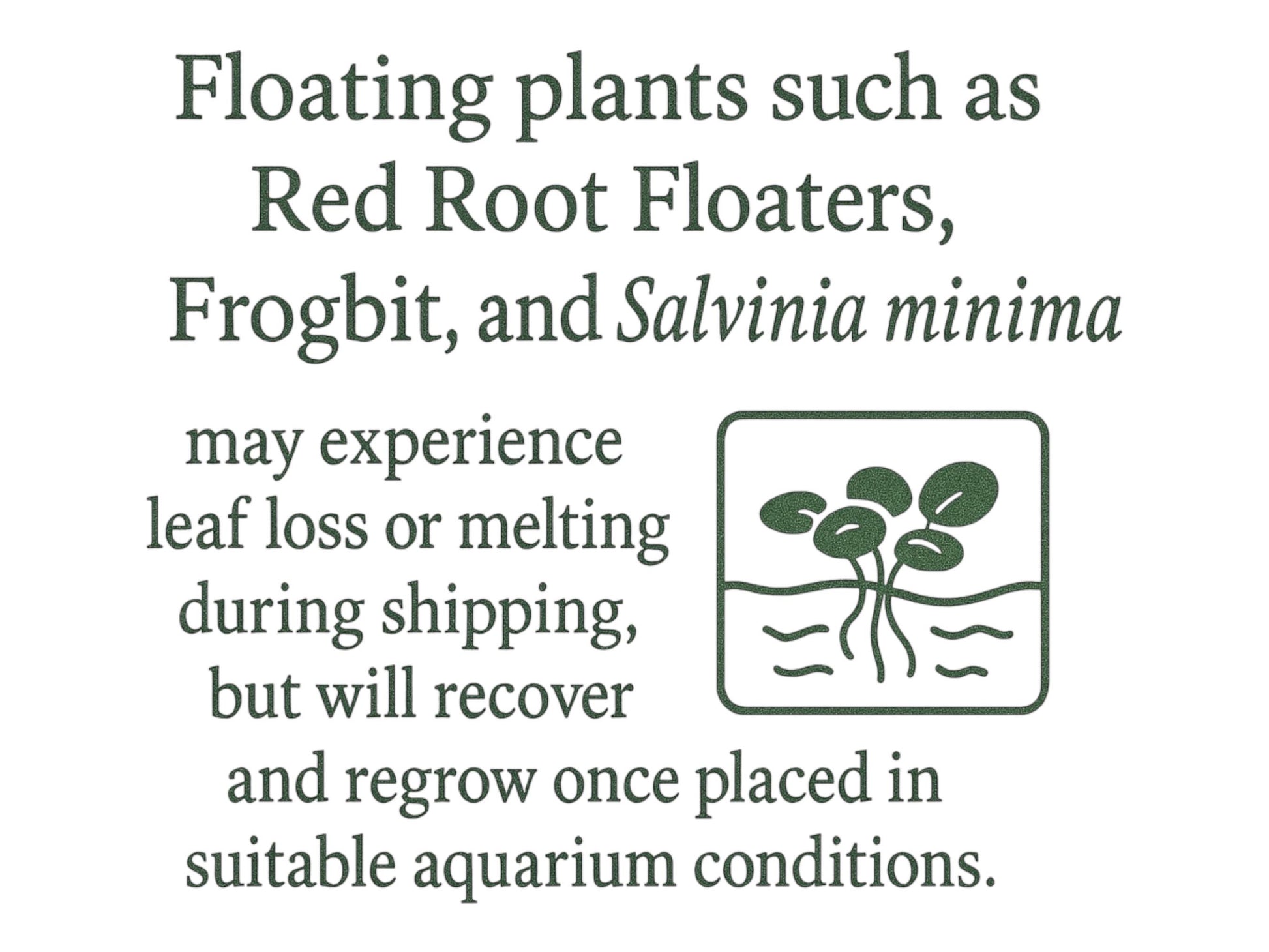 warning of the possibility of plants melting back during shipping
