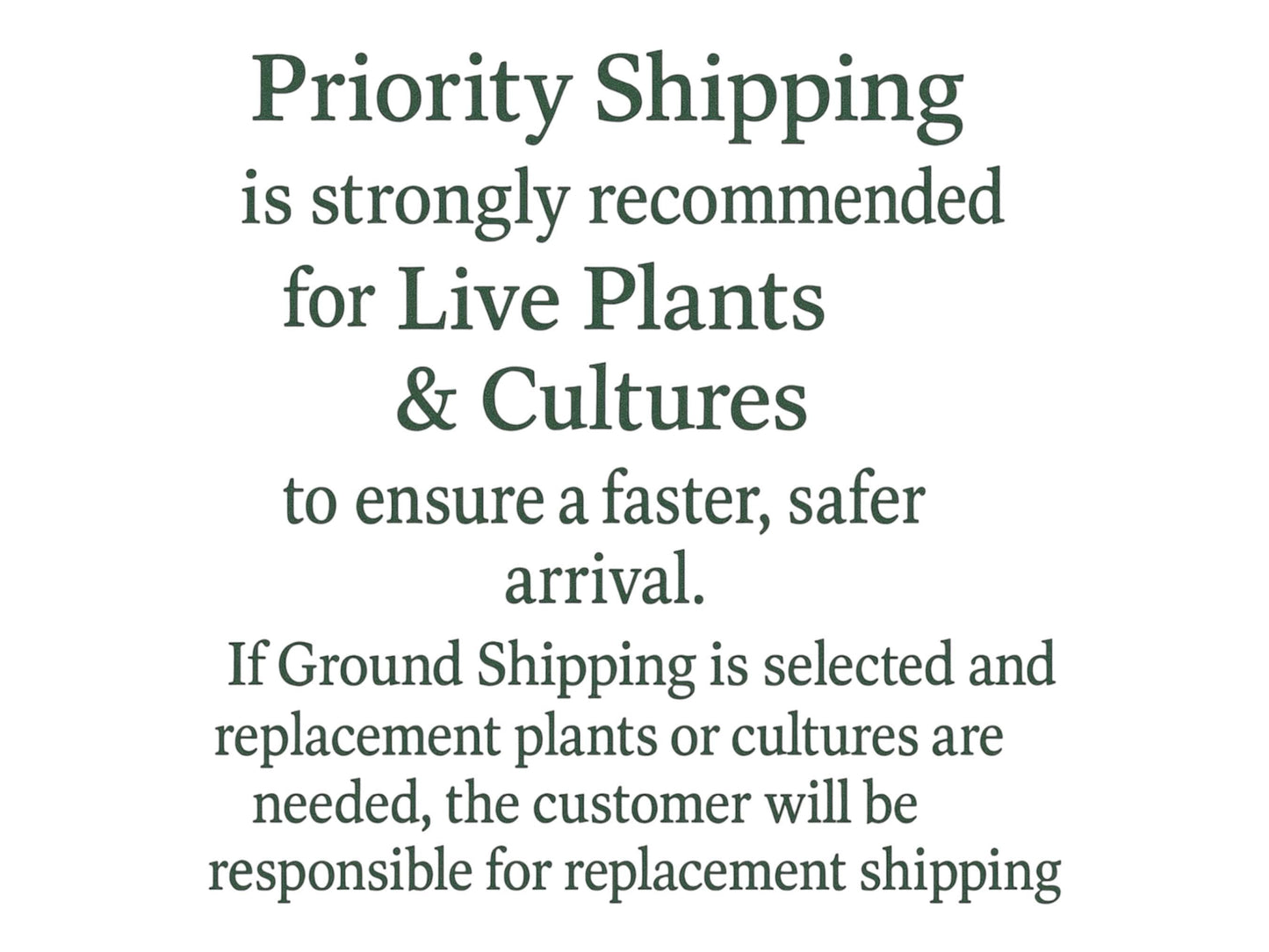 Mature 16-18 oz Vinegar Eel Culture for Feeding Fry and some Nano Fish. Very Easy Culture