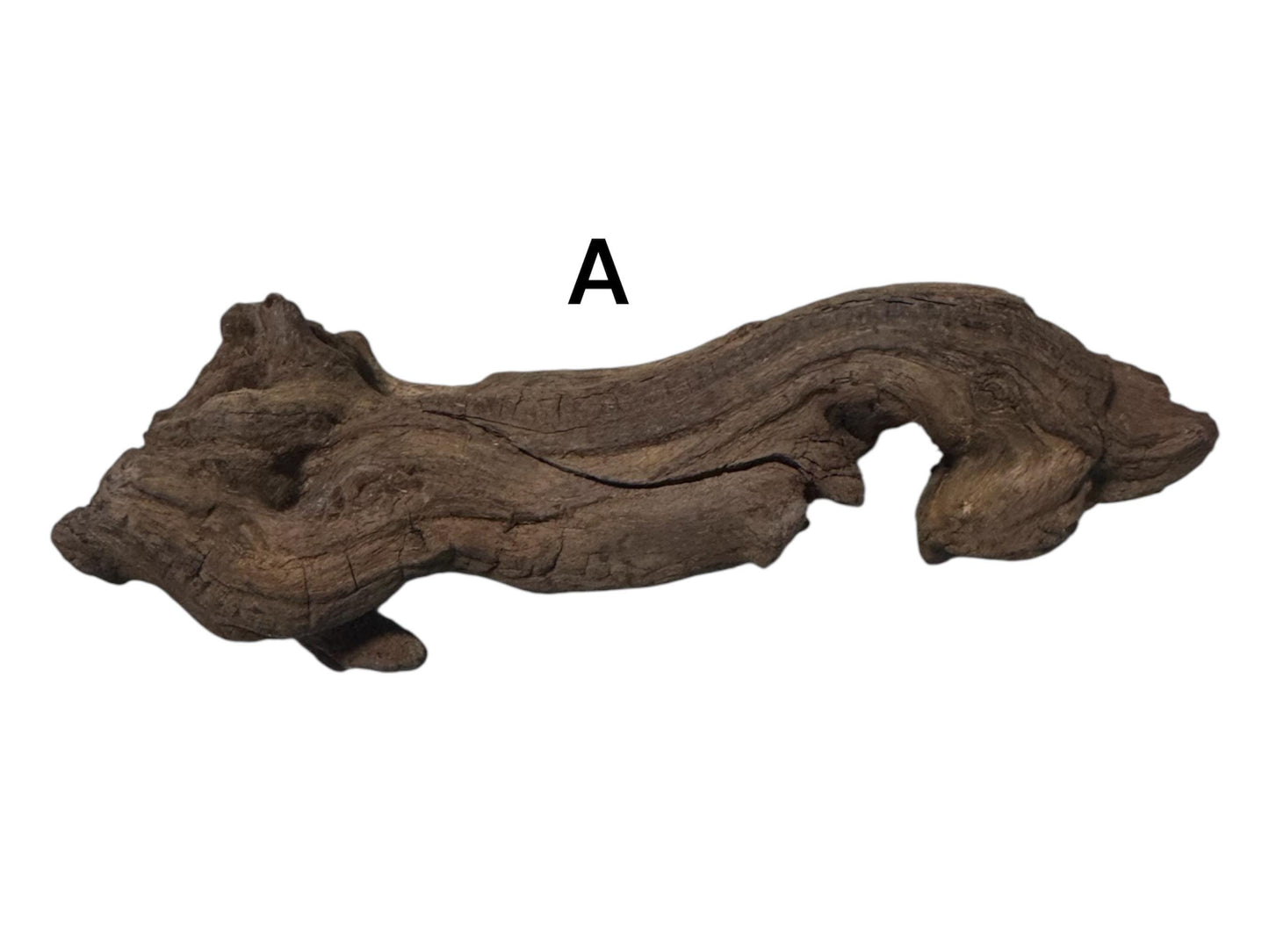 Mopani Driftwood 6–7” – Aquarium Wood Decor for Fish, Shrimp, and Reptiles