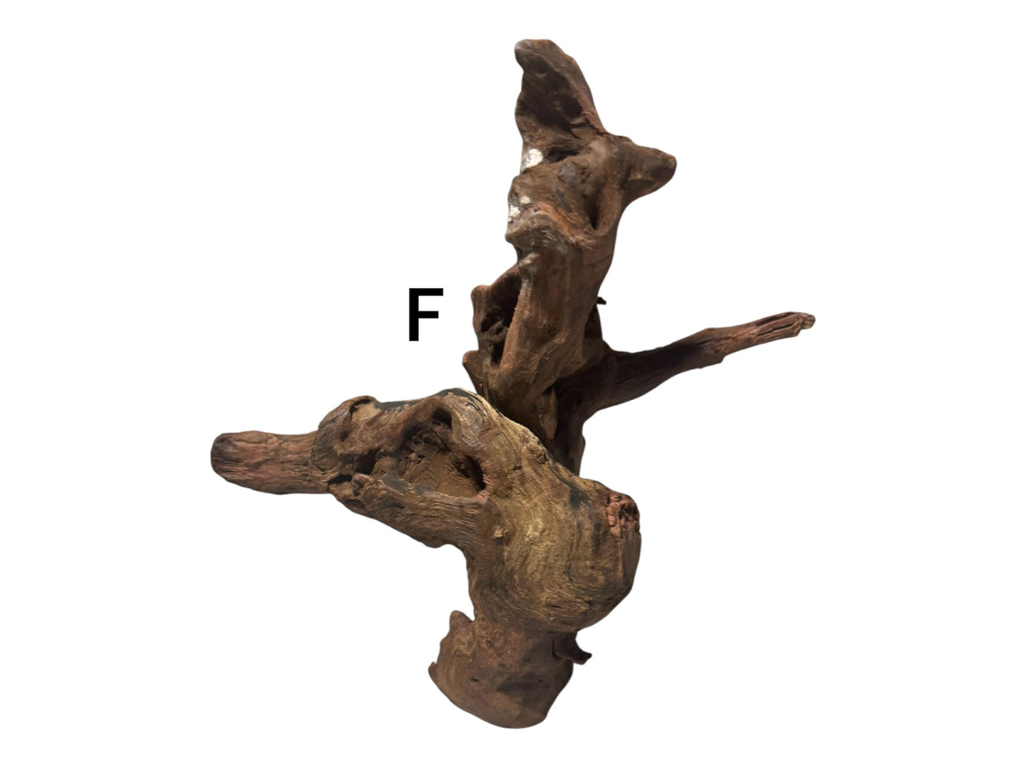 Mopani Driftwood 6–7” – Aquarium Wood Decor for Fish, Shrimp, and Reptiles