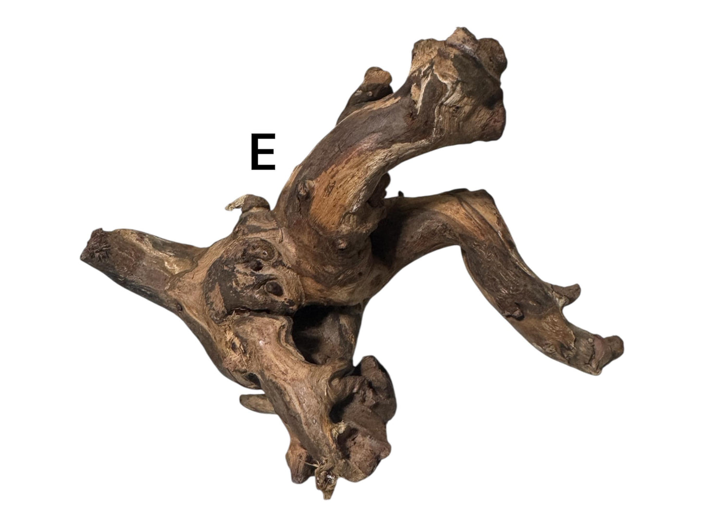 Mopani Driftwood 6–7” – Aquarium Wood Decor for Fish, Shrimp, and Reptiles