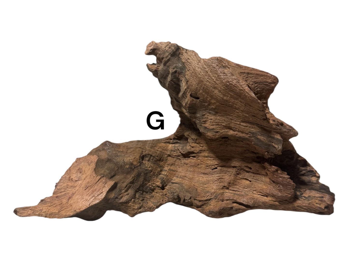 Mopani Driftwood 6–7” – Aquarium Wood Decor for Fish, Shrimp, and Reptiles