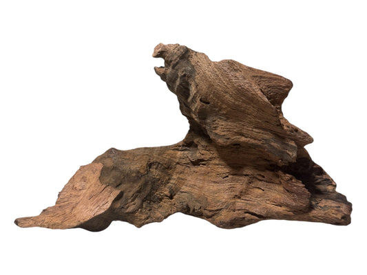 Mopani Driftwood 6–7” – Aquarium Wood Decor for Fish, Shrimp, and Reptiles