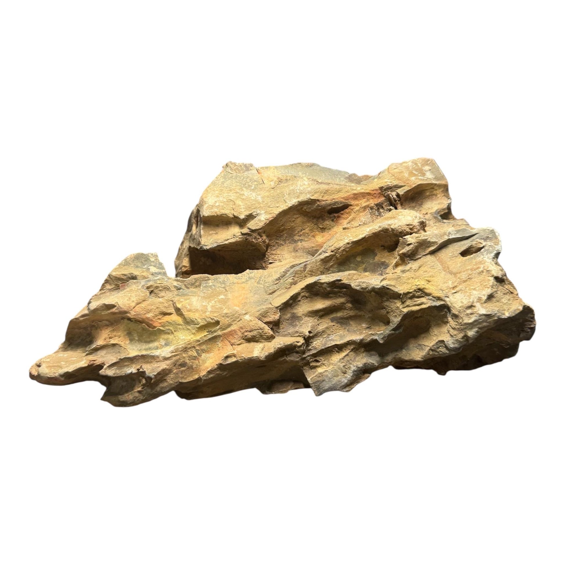 Dragon stone rock measuring 10 inches long and weighing 3.52 pounds, featuring natural rugged textures and earthy brown tones.