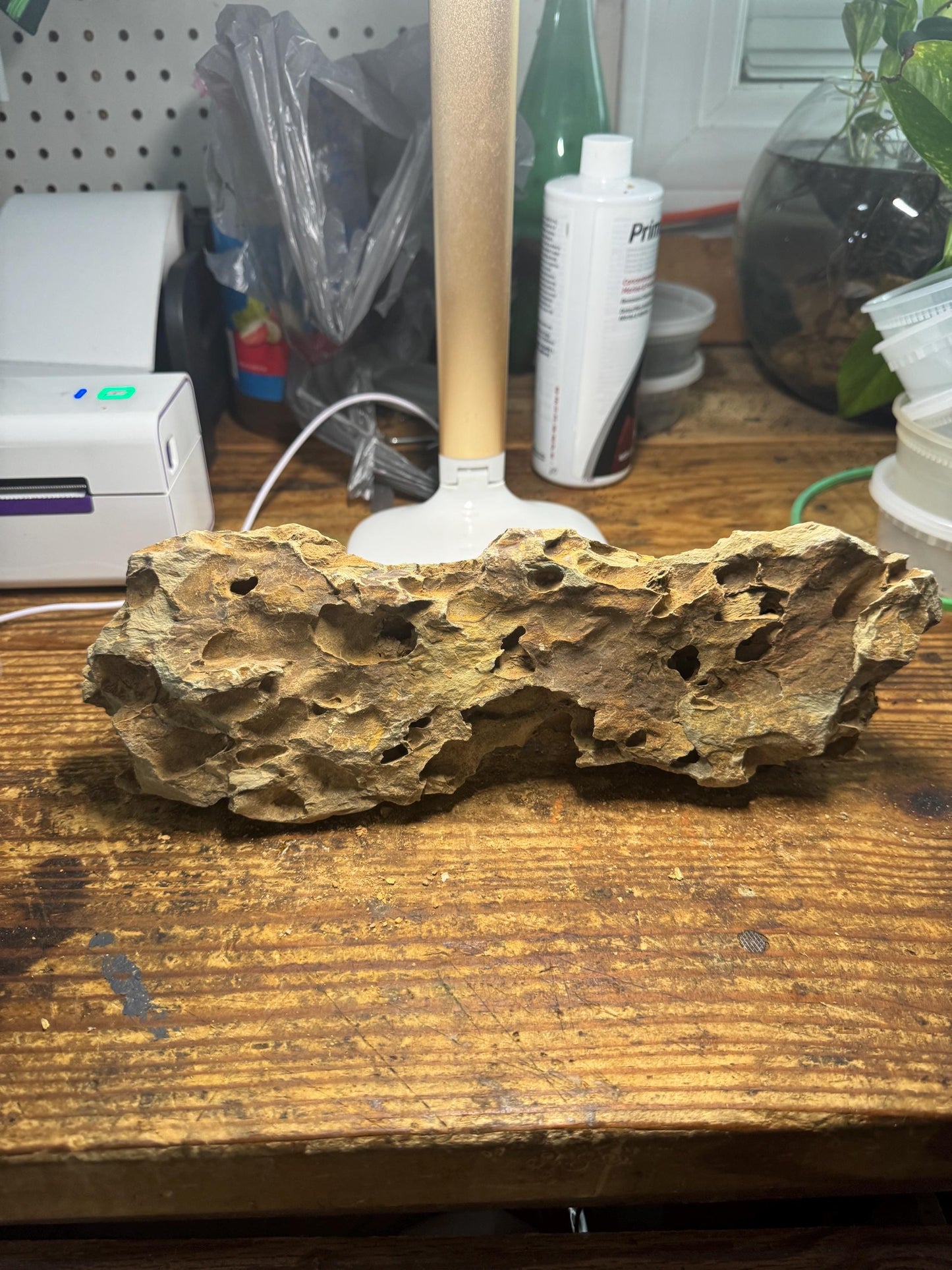 12 inch Dragon Stone (Ohko Stone) – Natural Aquarium Rock for Aquascaping 3.32 Pounds