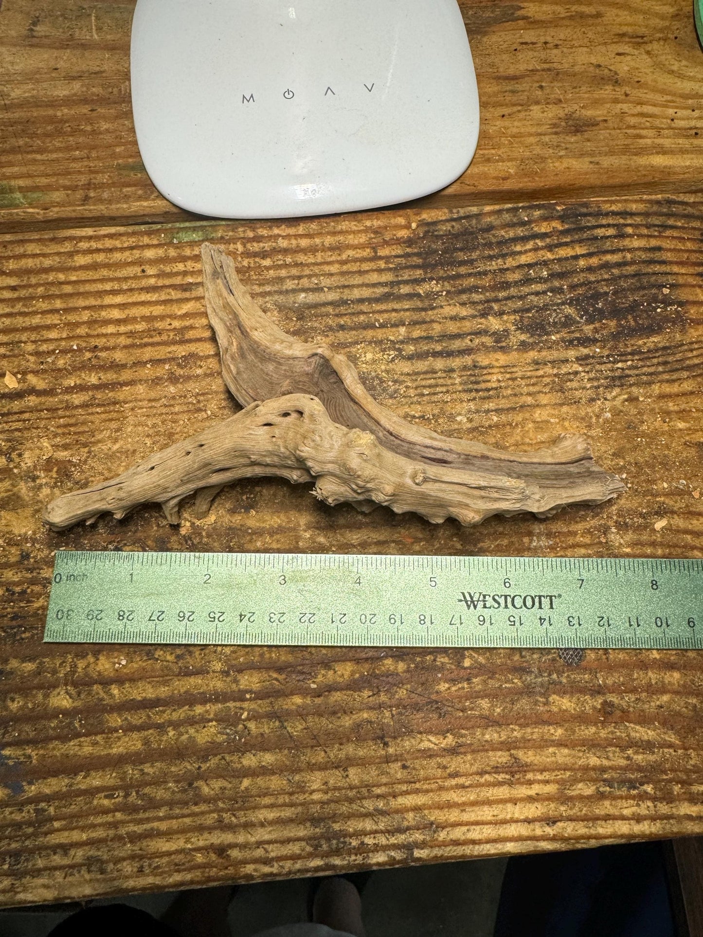 Natural Spiderwood 2 Piece - Aquarium-Safe Driftwood for Aquascaping & Terrariums 7 Inches Each