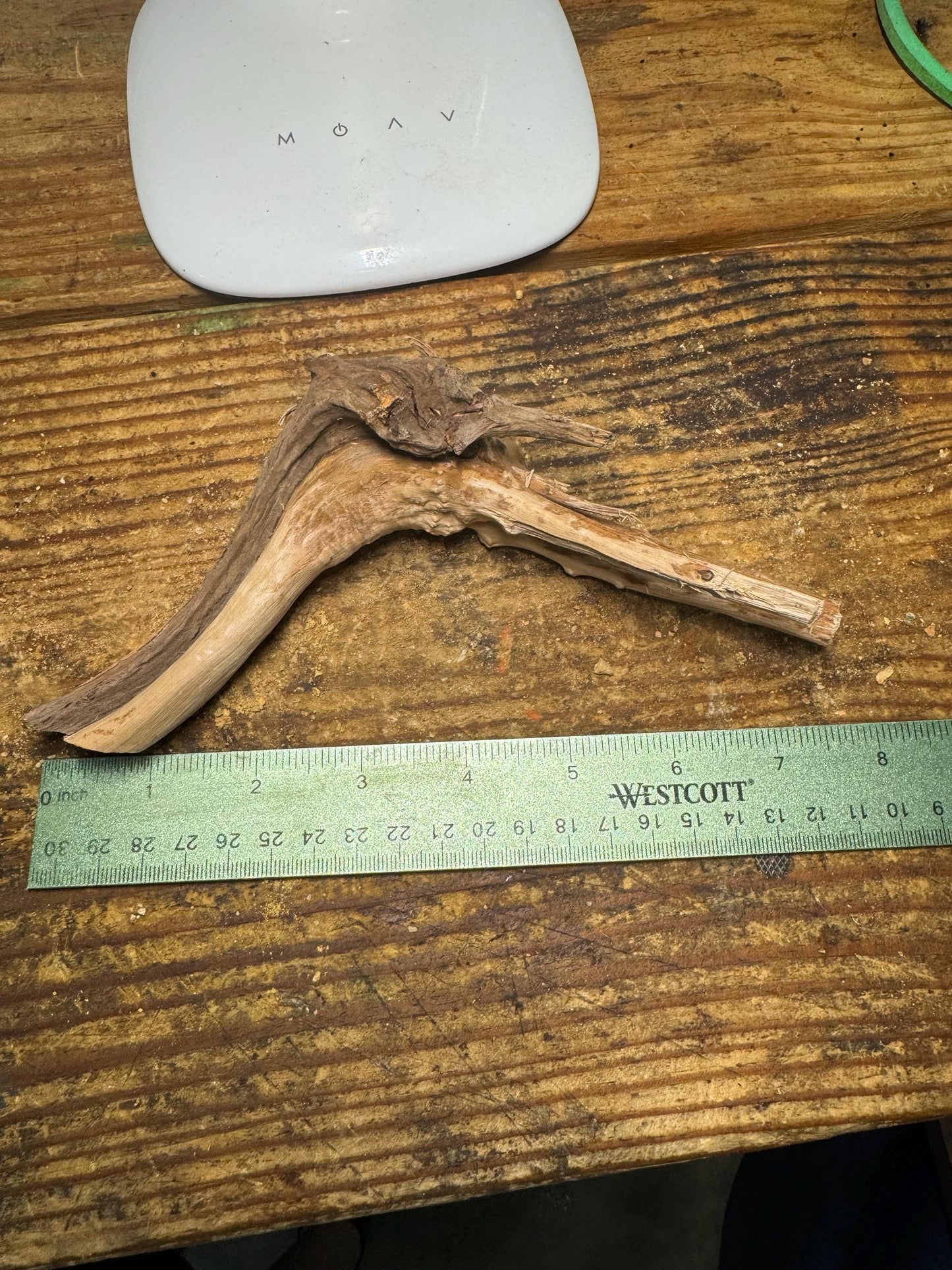 Natural Spiderwood 2 Piece - Aquarium-Safe Driftwood for Aquascaping & Terrariums 7 Inches Each