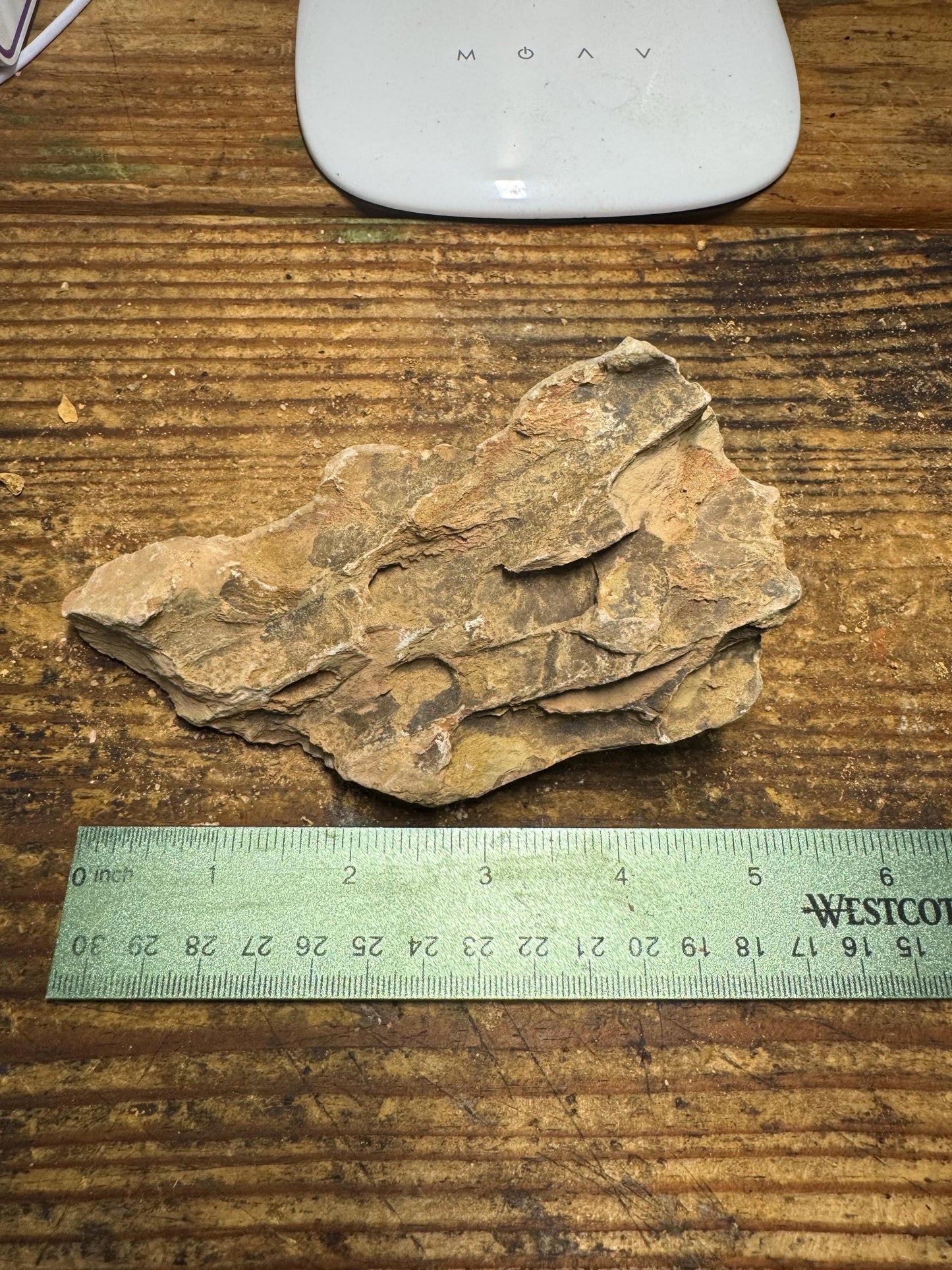 Dragon Stone Spiderwood Combo– Natural Aquarium Rock for Aquascaping