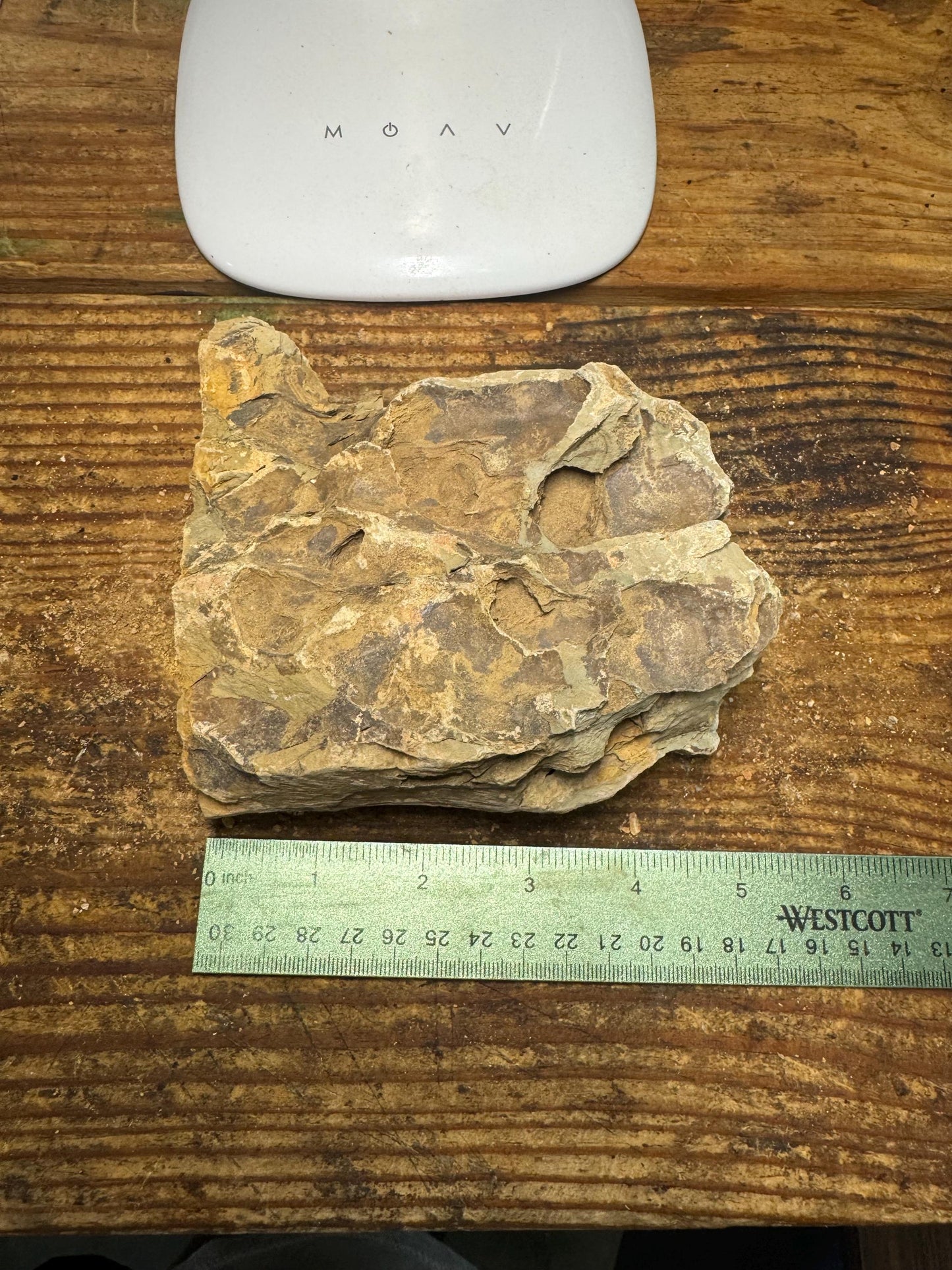 Dragon Stone Spiderwood Combo– Natural Aquarium Rock for Aquascaping