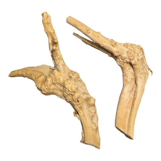 Two pieces of spiderwood driftwood on a black matte background, featuring natural curves, branching shapes, and textured knobby surfaces in light brown wood tones.