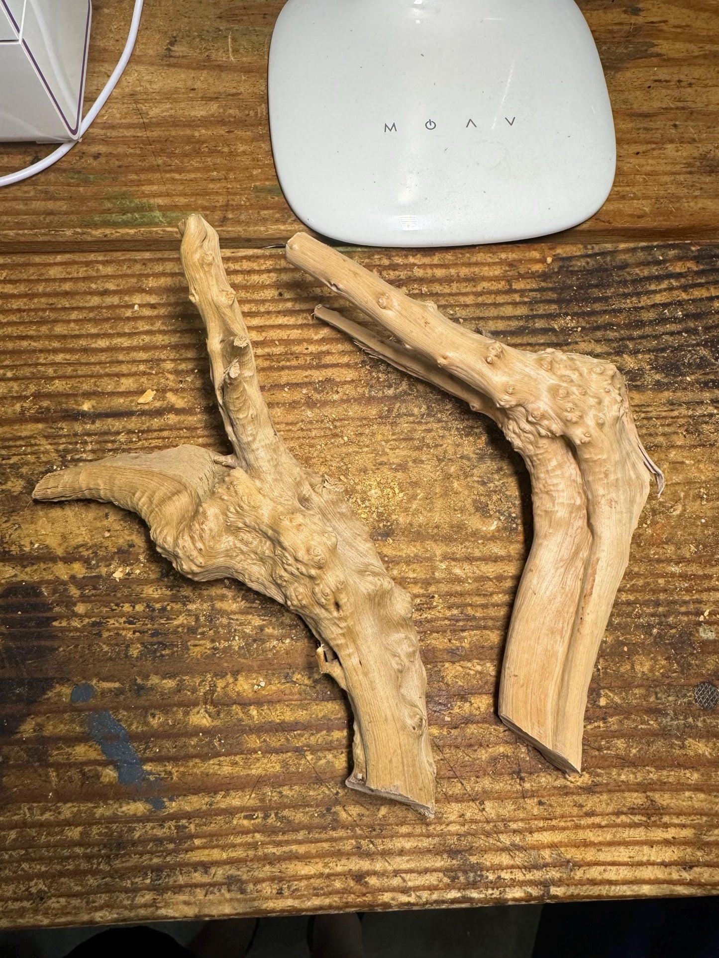 Natural Spiderwood 2 Piece - Aquarium-Safe Driftwood for Aquascaping & Terrariums 7 Inches Each