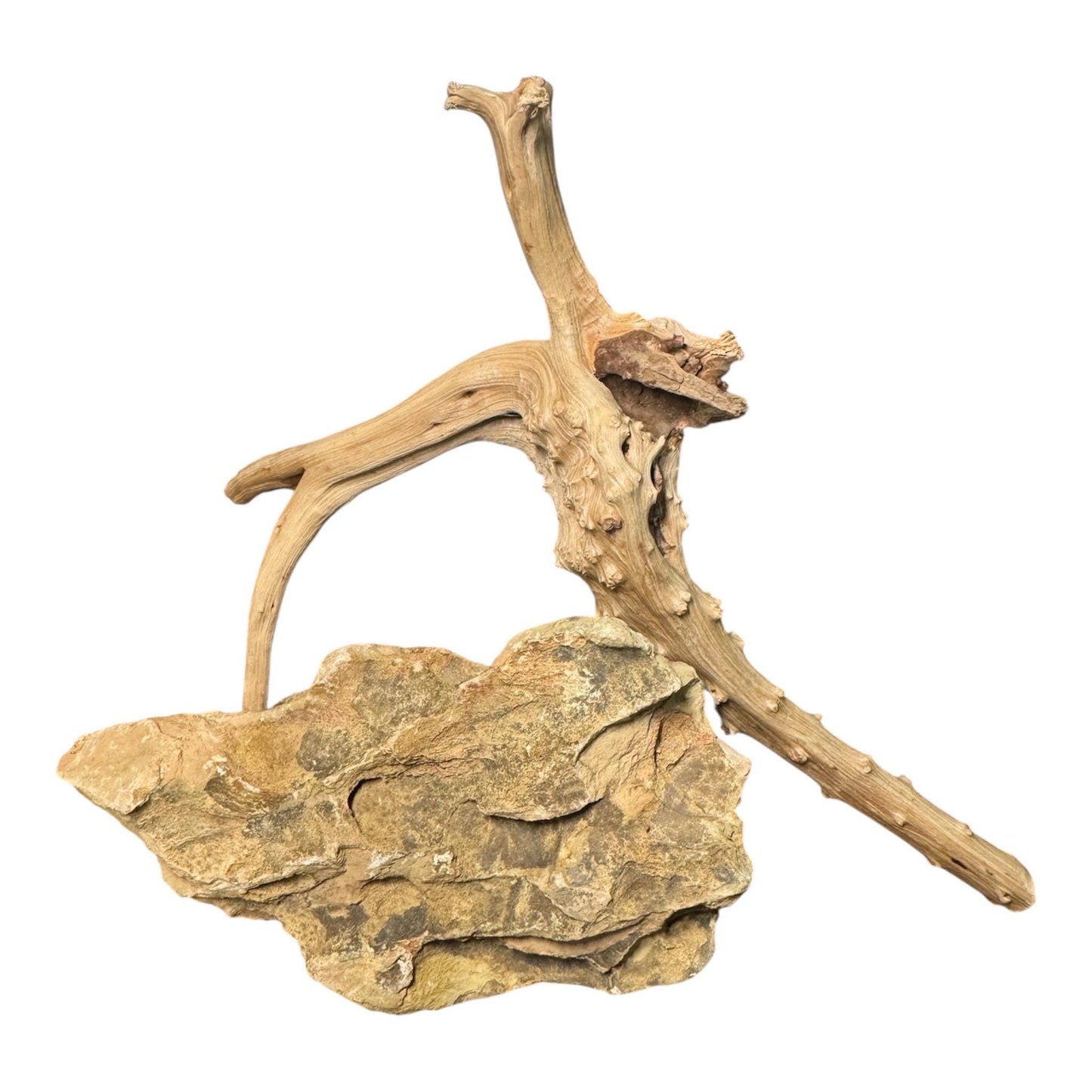 Dragon Stone Spiderwood Combo– Natural Aquarium Rock for Aquascaping