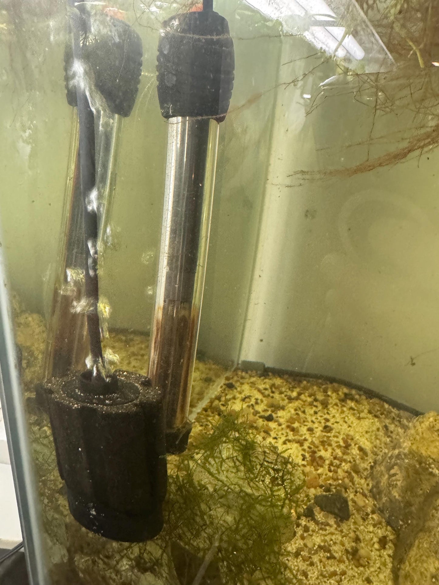 Black Silicone Airline Tubing – Flexible Aquarium Air Hose for Pumps, Sponge Filters, and Bubblers