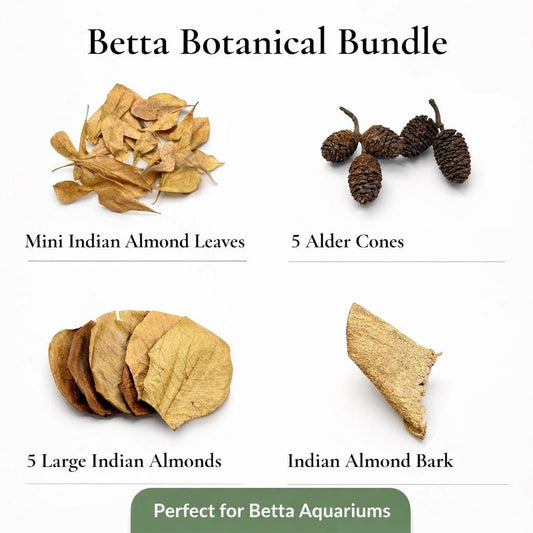 Betta botanicals kit Indian almond leaves alder cones bark natural aquarium tannins blackwater setup