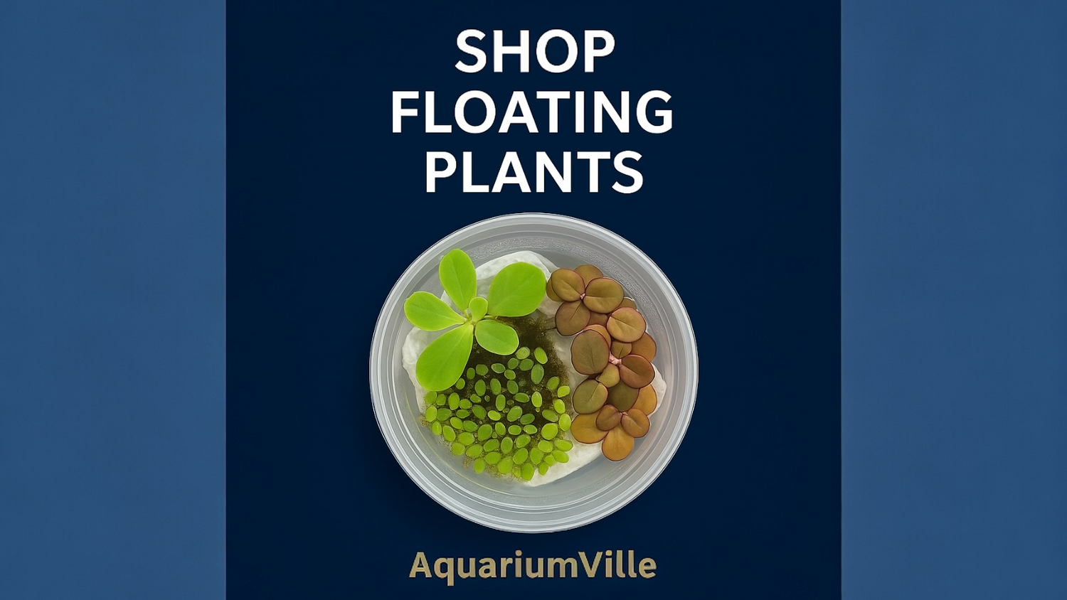 Overhead view of a deli cup containing assorted floating aquarium plants including Frogbit, Red Root Floater, and Salvinia, set against an ocean blue background with the text “Shop Floating Plants” above and “AquariumVille” below.