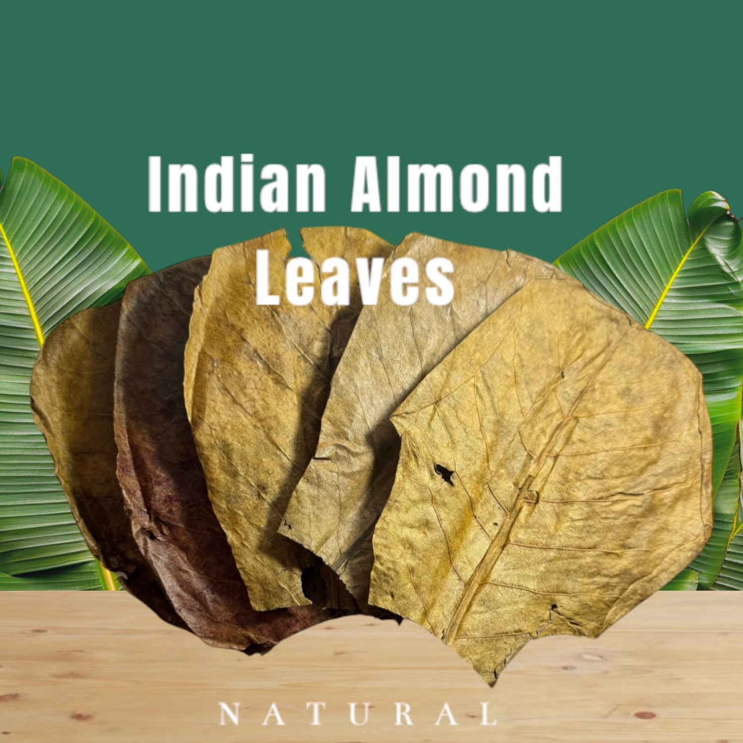 Indian Almond Leaves Botanicals 