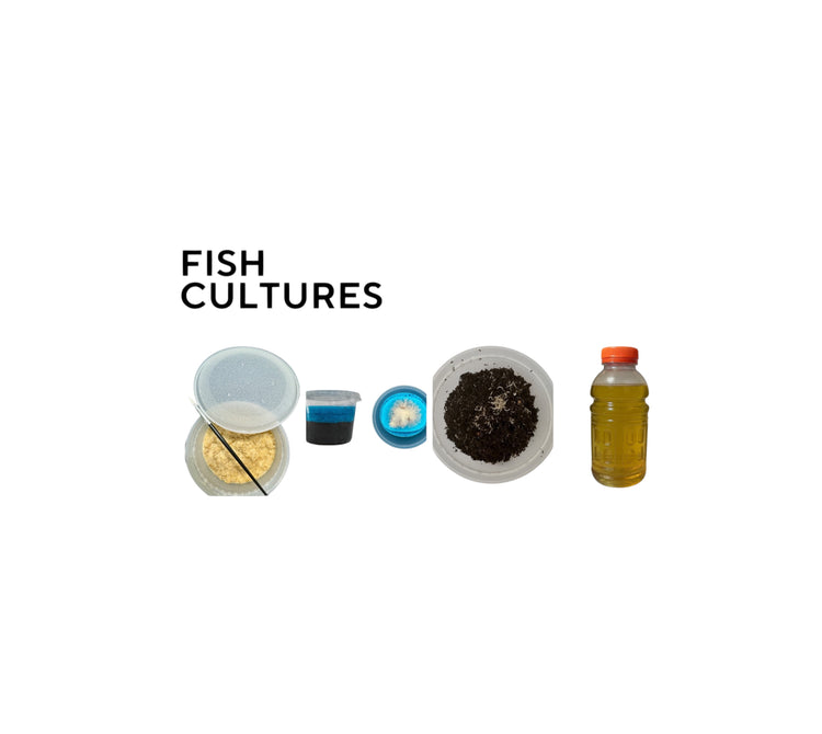 Best sellers - Live Cultures