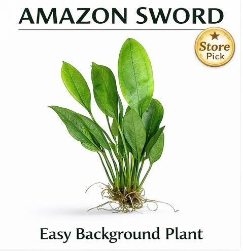 Background Plants